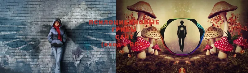 Псилоцибиновые грибы Magic Shrooms  Белоусово 